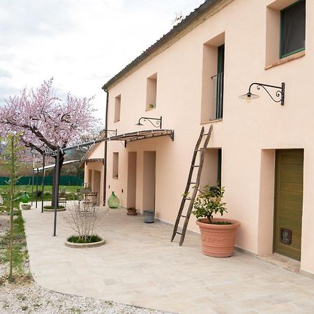 B&B Le Rondini Ostra Senigallia Casine  Esterno foto