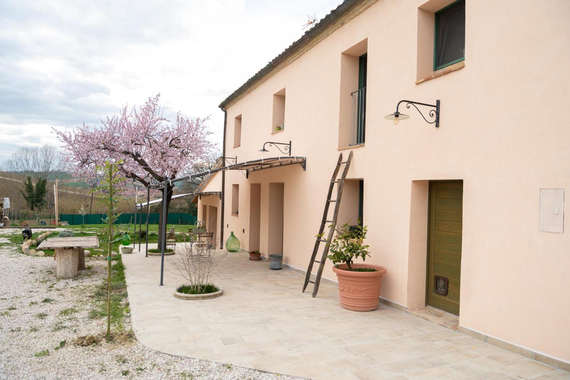 B&B Le Rondini Ostra Senigallia Casine  Esterno foto